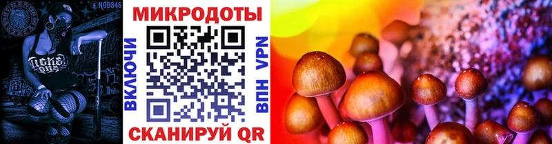 хочу   Карталы  Псилоцибиновые грибы Psilocybine cubensis 